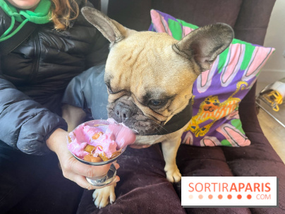 CAYU Canidés Club, la boutique d'accessoires dog friendly - nos photos