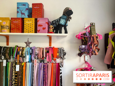 CAYU Canidés Club, la boutique d'accessoires dog friendly - nos photos