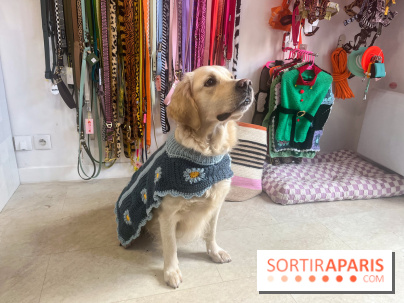 CAYU Canidés Club, la boutique d'accessoires dog friendly - nos photos