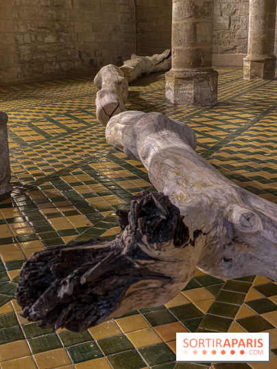 En deçà de l’invisible : Cécile Beau et Grégoire Scalabre s'exposent à l'Abbaye de Maubuisson - IMG 1503