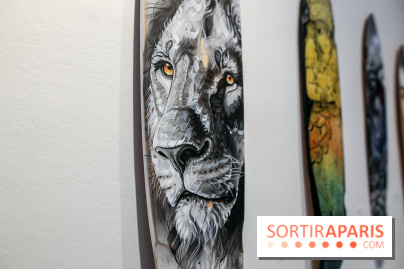 Boards to be solidaire 2024, nos photos