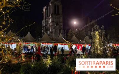 Le Marché de Noël de Notre Dame - IMG 2783 jpg