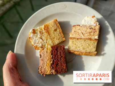 Bûches 2024 Land&Monkeys - IMG 7495