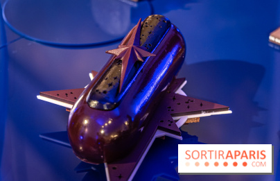 Les bûches et chocolats de Noël de la Maison du Chocolat 2024 -  A7C8367