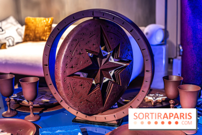 Les bûches et chocolats de Noël de la Maison du Chocolat 2024 -  A7C8371