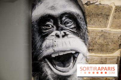 Street art : nos photos de la troisième édition de L’équipée à Paris