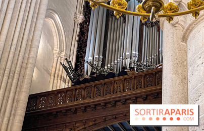 Réouverture de Notre-Dame de Paris - IMG 4150 jpg