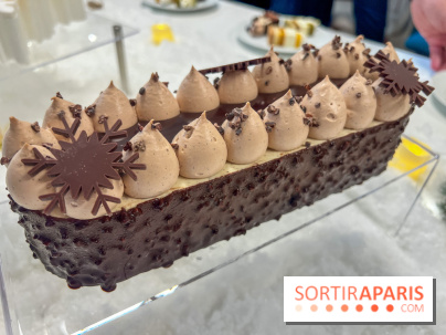 Bûches de Noël 2024 Bo&Mie - Flocon Cacao