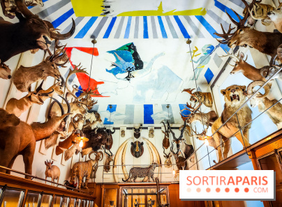 Musée de la chasse et de la nature - collections permanentes et visuels - IMG20241209152724