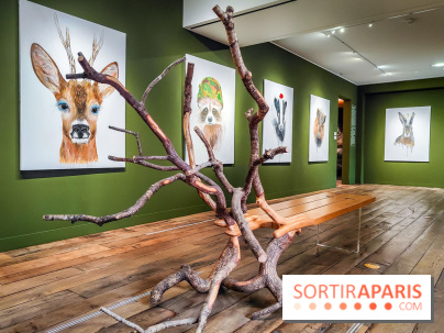 S'éclairer sans fin : l'exposition poétique d'Edi Dubien au musée de la Chasse et de la Nature - photos