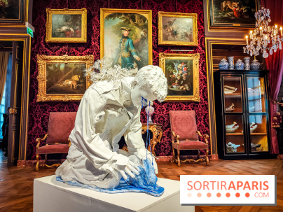 S'éclairer sans fin : l'exposition poétique d'Edi Dubien au musée de la Chasse et de la Nature - photos - IMG20241209150828