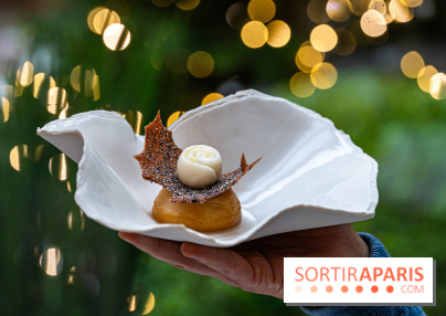 Le tea time de Noël du Four Seasons George V - photos -  A7C9005