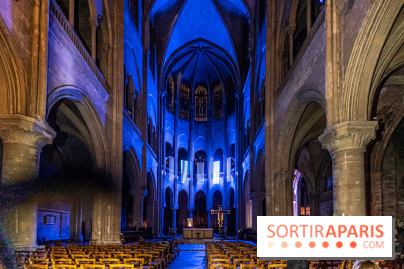 Lueurs de Mantes 2024, le parcours lumineux dans les Yvelines - photos - A7C9187