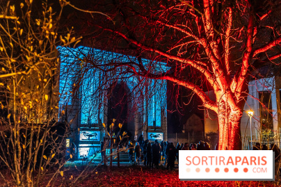 Lueurs de Mantes 2024, le parcours lumineux dans les Yvelines - photos -  A7C9245
