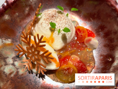 Virtus - Dessert main de bouddha