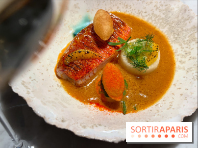 Virtus - Rouget à la flamme