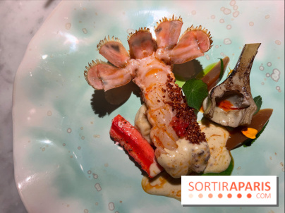 Virtus - Langoustine au sarrasin