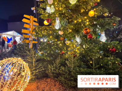 Bel Hiver Saint-Denis 2024 - nos photos - image00005