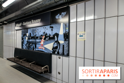 Gare Villejuif - Gustave Roussy, nos phoros - IMG 7208