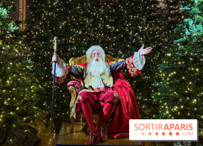 Le Parcours du Roi, la visite-spectacle de Noël 2024 du Château de Versailles - FullSizeRender 29