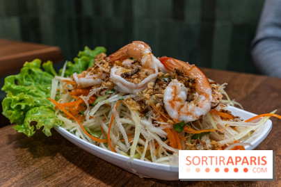 Mây Hồng, le restaurant vietnamien du 111 avenue d'Ivry Paris 13e -  salade de papaye