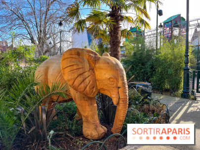 Square de la Jungle - nos photos