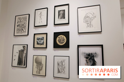 100% paper III, nos photos de l'expo signée Hopare et Urban Signature - Expo Paper 3e   2025   Hopare   7 fotor 20250109155641