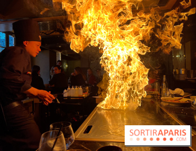 Benihana - Teppanyaki