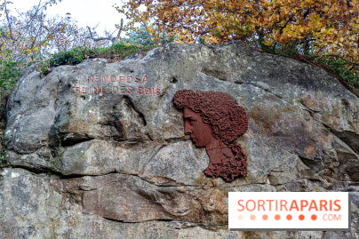Randonnée à Fontainebleau : le sentier sur les pas de Denecourt jusqu’à la Tour Denecourt - A7C7555