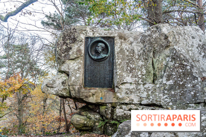 Randonnée à Fontainebleau : le sentier sur les pas de Denecourt jusqu’à la Tour Denecourt - A7C7558