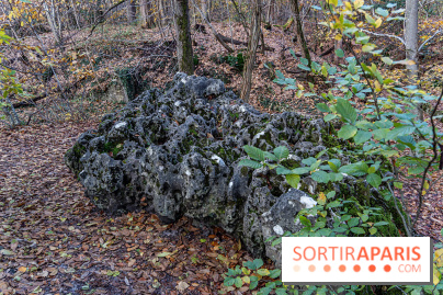 Randonnée à Fontainebleau : le sentier sur les pas de Denecourt jusqu’à la Tour Denecourt - A7C7571