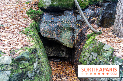 Randonnée à Fontainebleau : le sentier sur les pas de Denecourt jusqu’à la Tour Denecourt - A7C7580