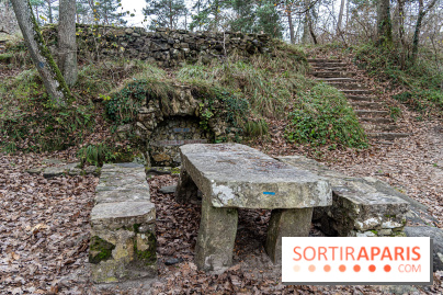 Randonnée à Fontainebleau : le sentier sur les pas de Denecourt jusqu’à la Tour Denecourt - A7C7583