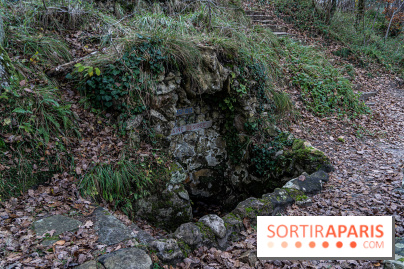 Randonnée à Fontainebleau : le sentier sur les pas de Denecourt jusqu’à la Tour Denecourt - A7C7584