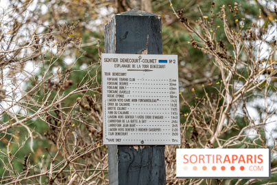 Randonnée à Fontainebleau : le sentier sur les pas de Denecourt jusqu’à la Tour Denecourt - A7C7602