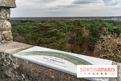 Randonnée à Fontainebleau : le sentier sur les pas de Denecourt jusqu’à la Tour Denecourt - A7C7615