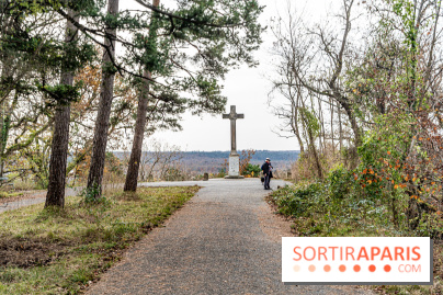 Randonnée à Fontainebleau : le sentier sur les pas de Denecourt jusqu’à la Tour Denecourt - A7C7618