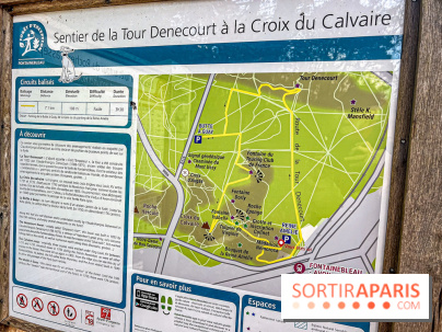 Randonnée à Fontainebleau : le sentier sur les pas de Denecourt jusqu’à la Tour Denecourt - IMG 5442