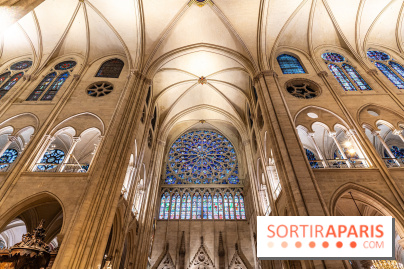 Visite de Notre-Dame de Paris -  A7C0196