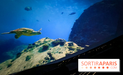 La Géode 2025 - IMG 8543 jpg