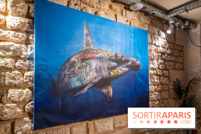 Exposition street-art Colors festival x Tracks 119