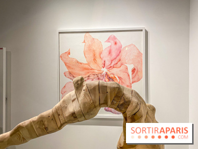 Exposition Belladone de Tatiana Wolska au Drawing Lab - IMG 2353