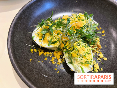 Argile - Oeufs mimosa, poutargue