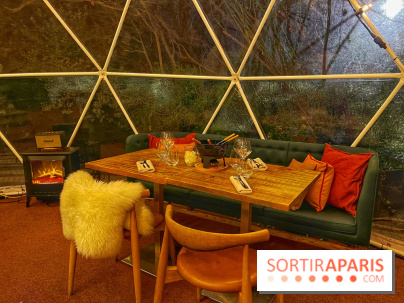 Bulle d'Hiver - Novotel Paris Les Halles - IMG 8585