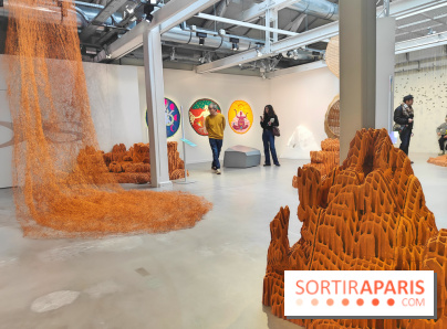 Chaosmos : une expo gratuite qui interroge notre place dans l'univers au Maif Social Club - photos - fotor 1738750122150