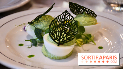 La Brasserie Vendémiaire, dans le 7e arrondissement de Paris - IMG 6173 2