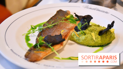 La Brasserie Vendémiaire, dans le 7e arrondissement de Paris - IMG 6174 2