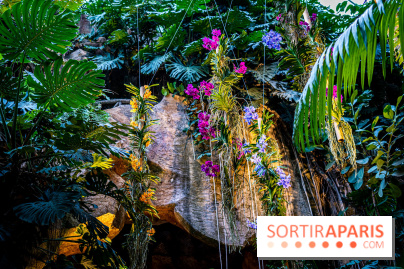 Mille et une orchidées 2025 - les photos