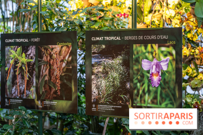 Mille et une orchidées 2025 - les photos