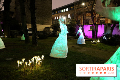 Exposition Silva Lumina au Centre Culturel Irlandais - Silva Lumina 10 fotor 2025020691457